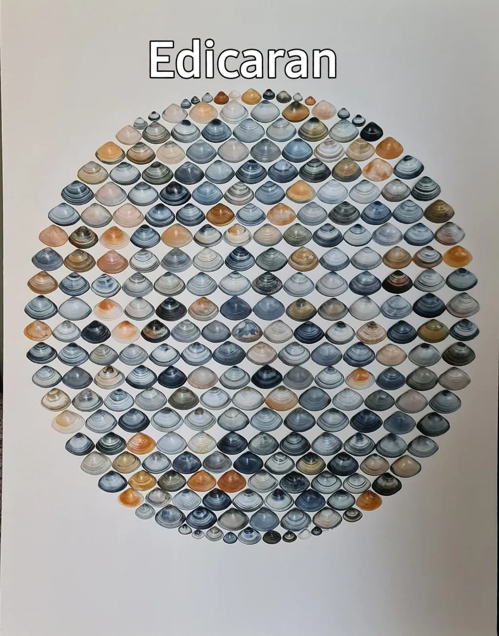 Shell Mosaic