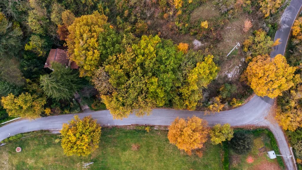 Autumn Aerial View