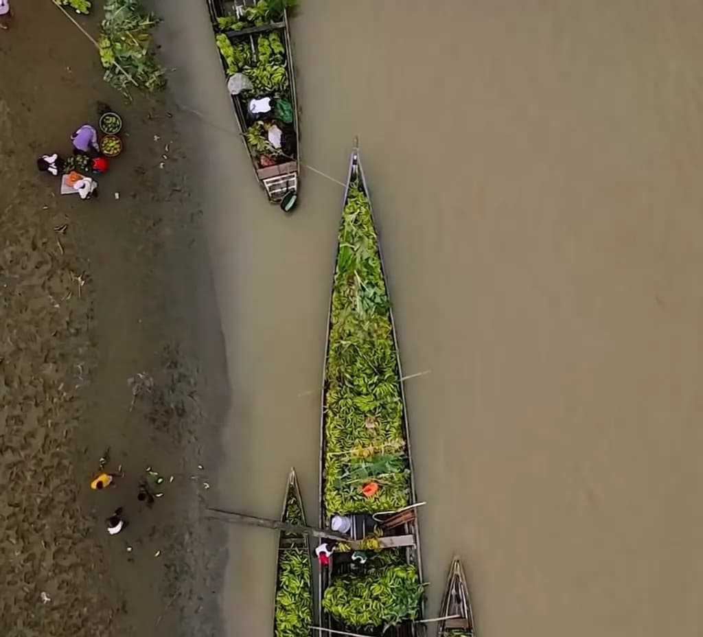 Harvest on Water