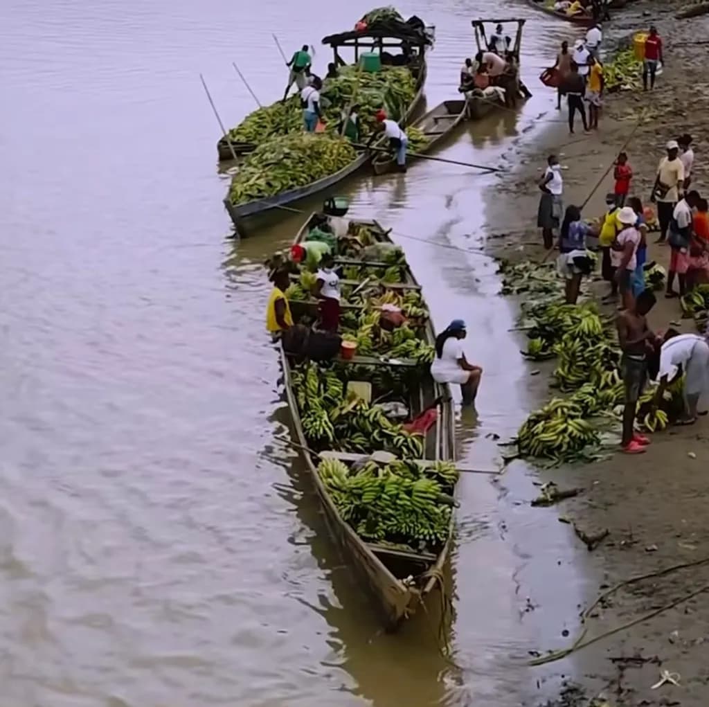Banana Market on the River