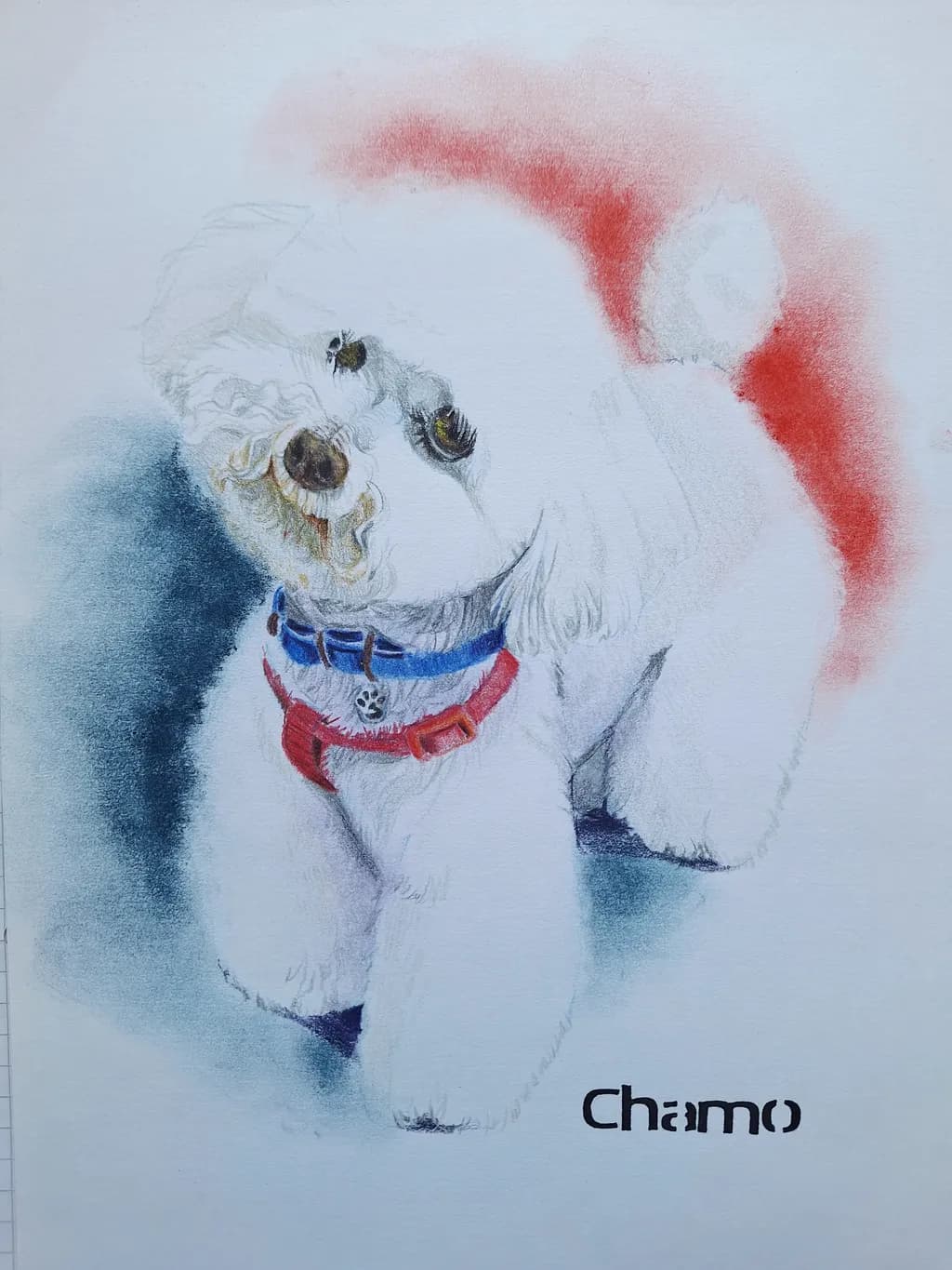 Chamo