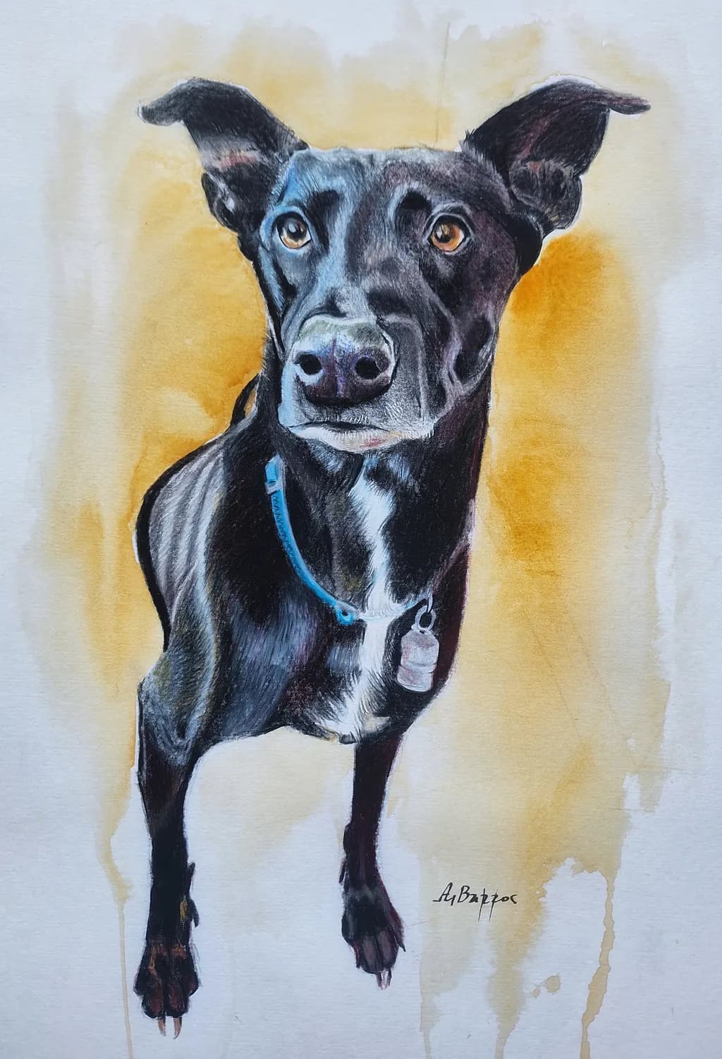 Black Canine Portrait