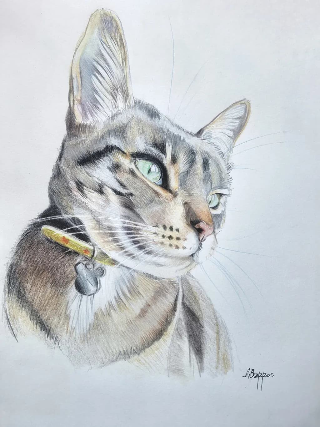 Inquisitive Feline