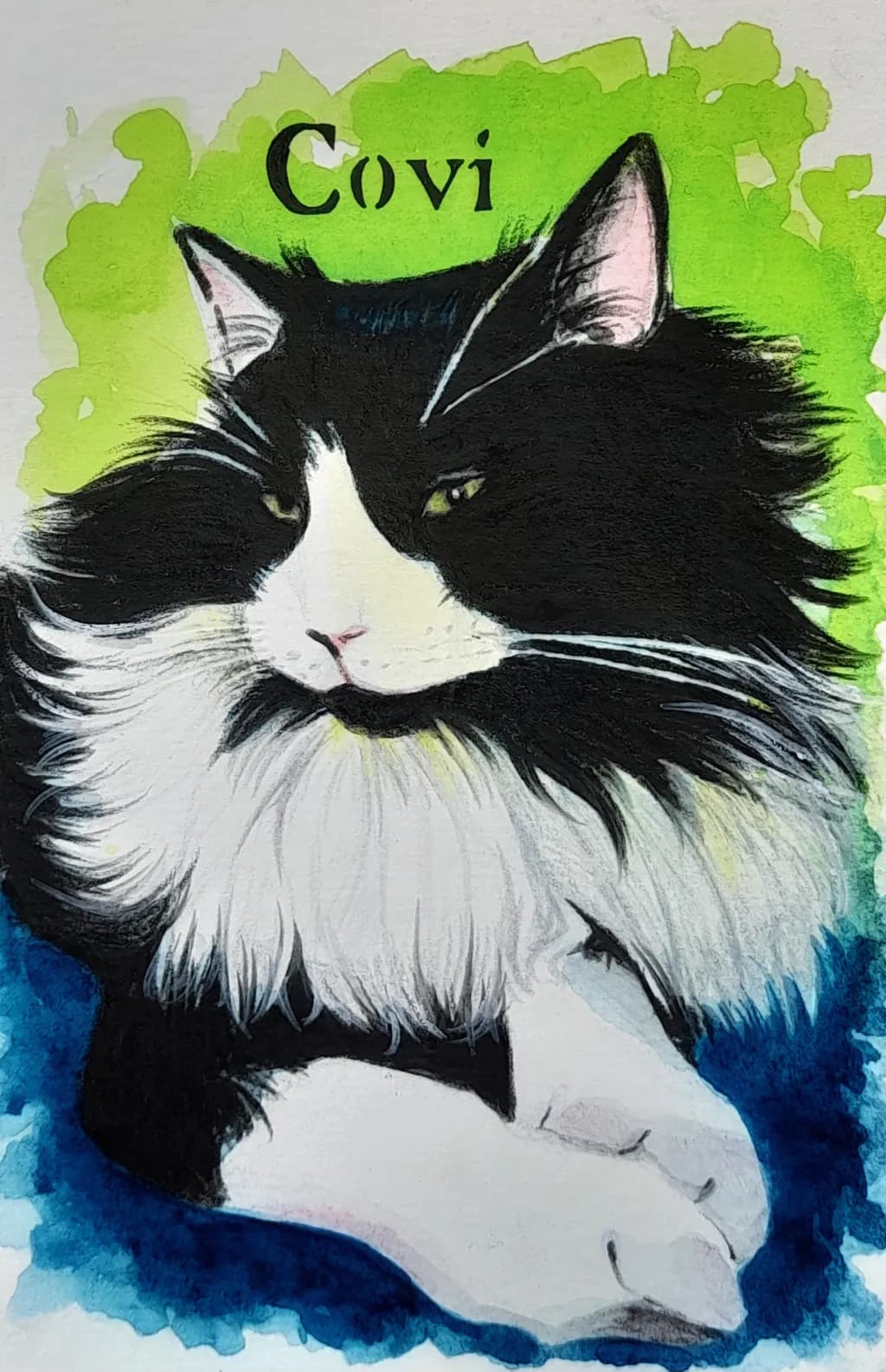 Covi the Fluffy Cat