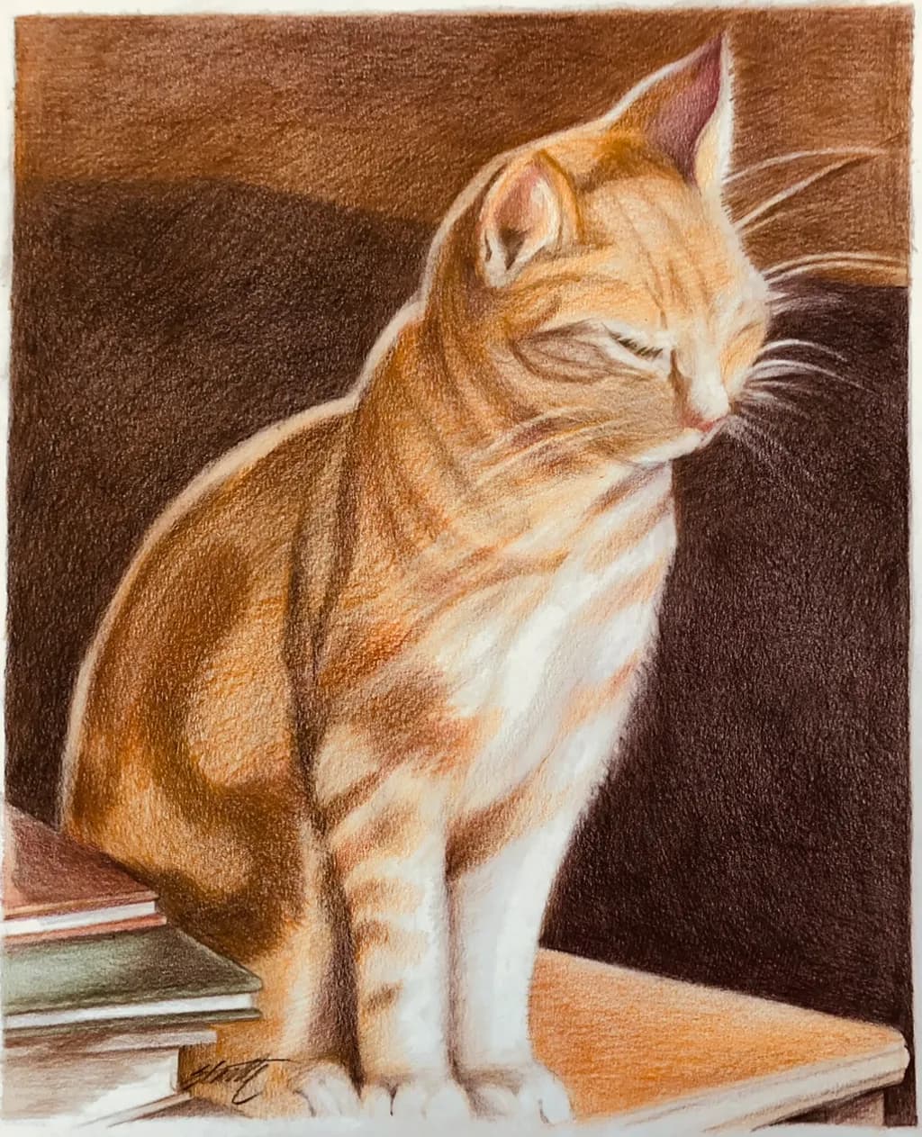 Contemplative Cat