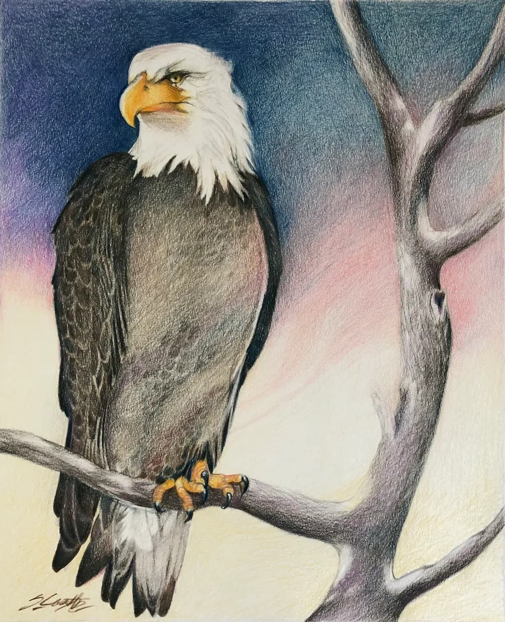Bald Eagle Majesty