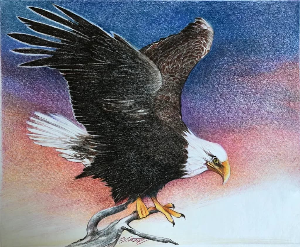 Bald Eagle Ready