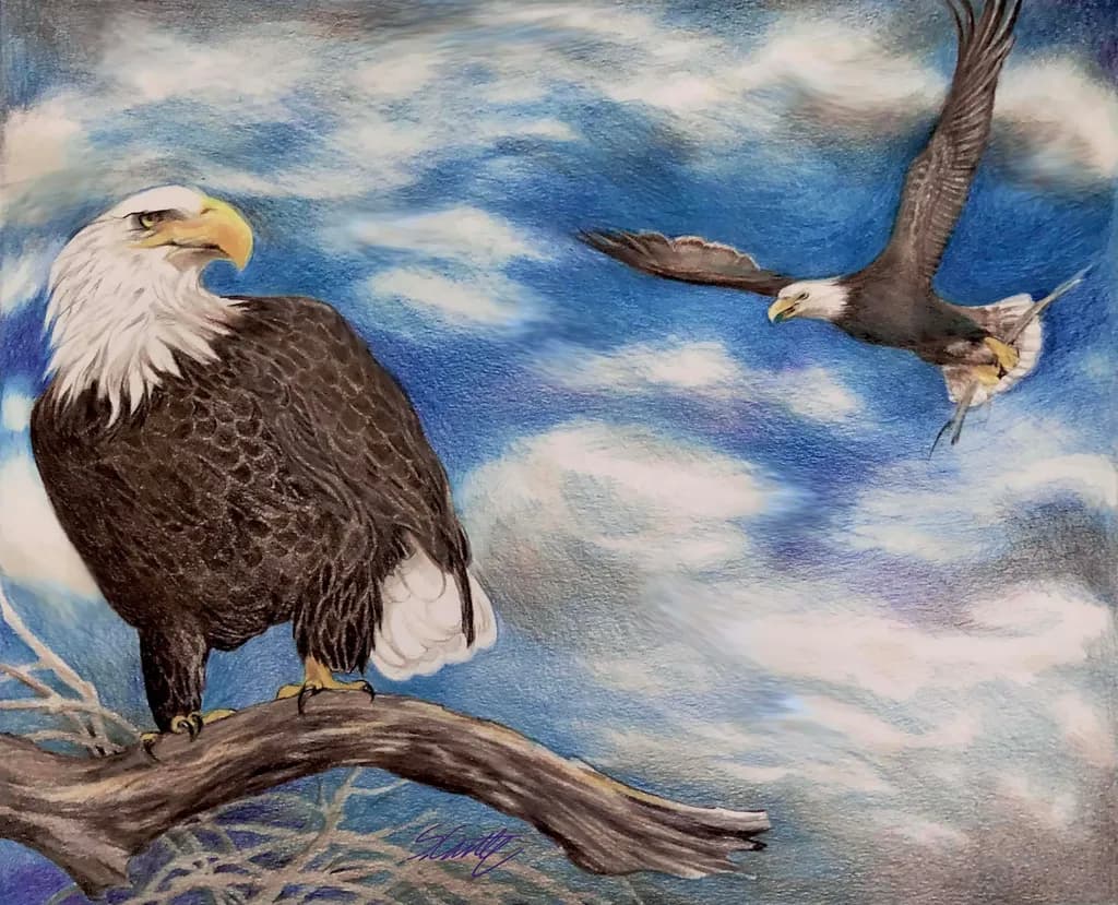 Bald Eagle Flight