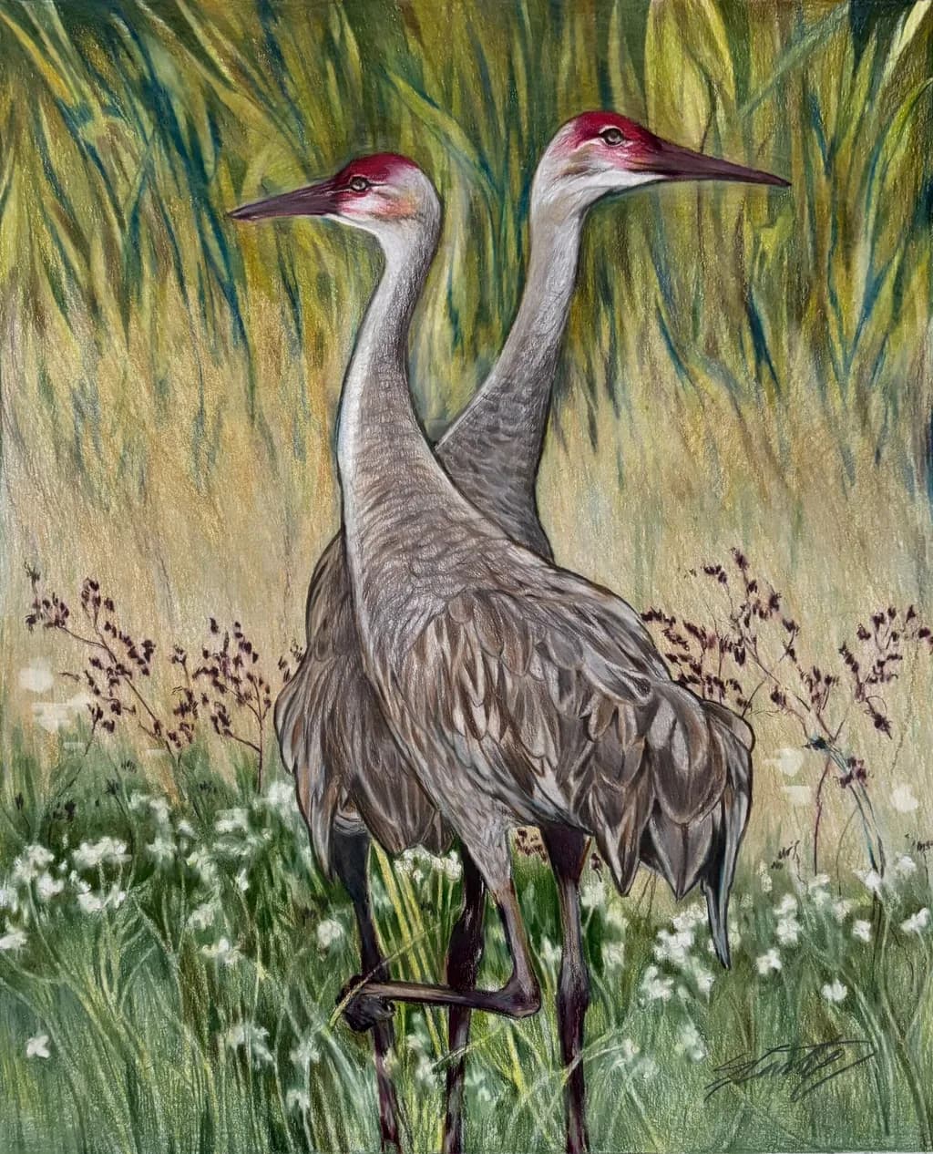 Cranes in Harmony