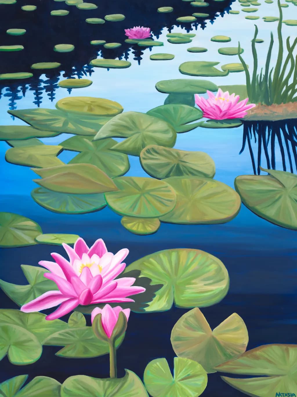 Waterlily Tranquility