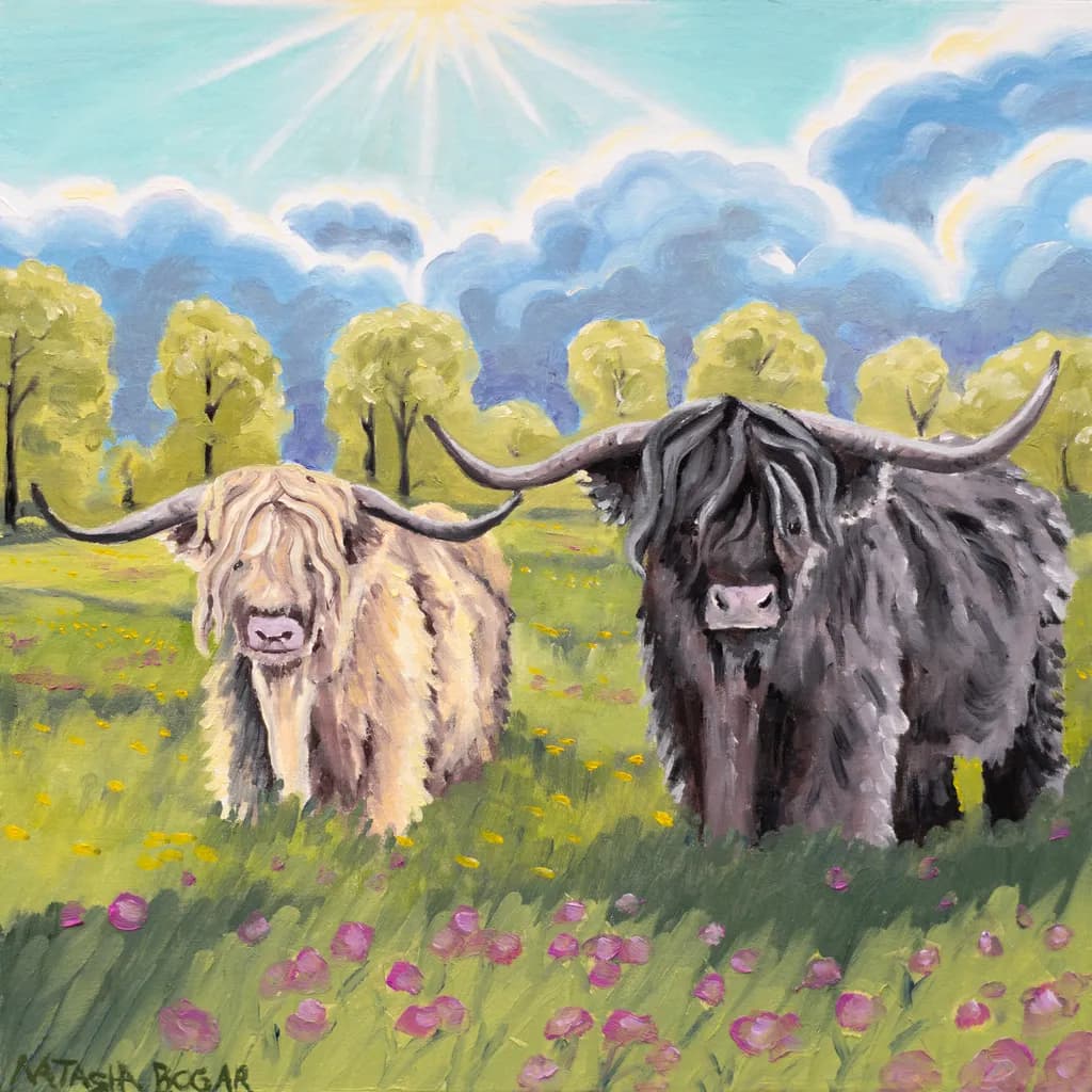 Highland Cow IV