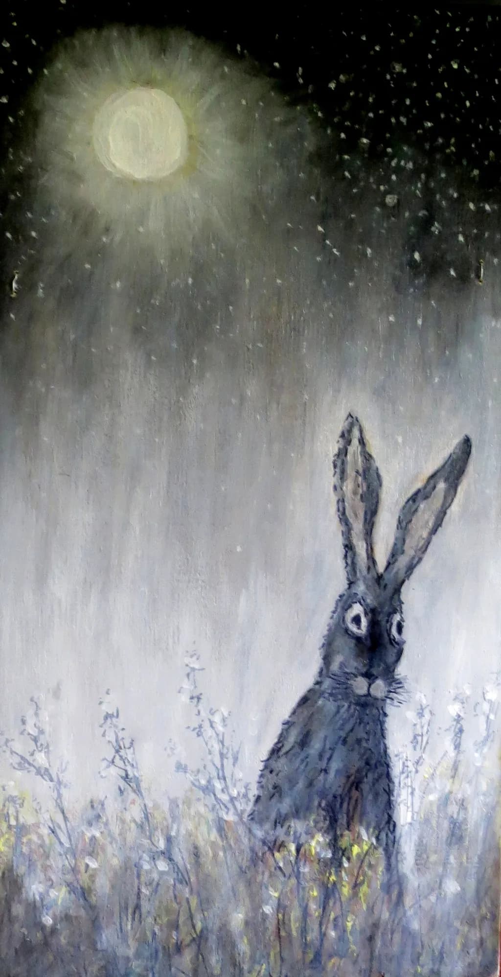 Rabbit by Moonlight