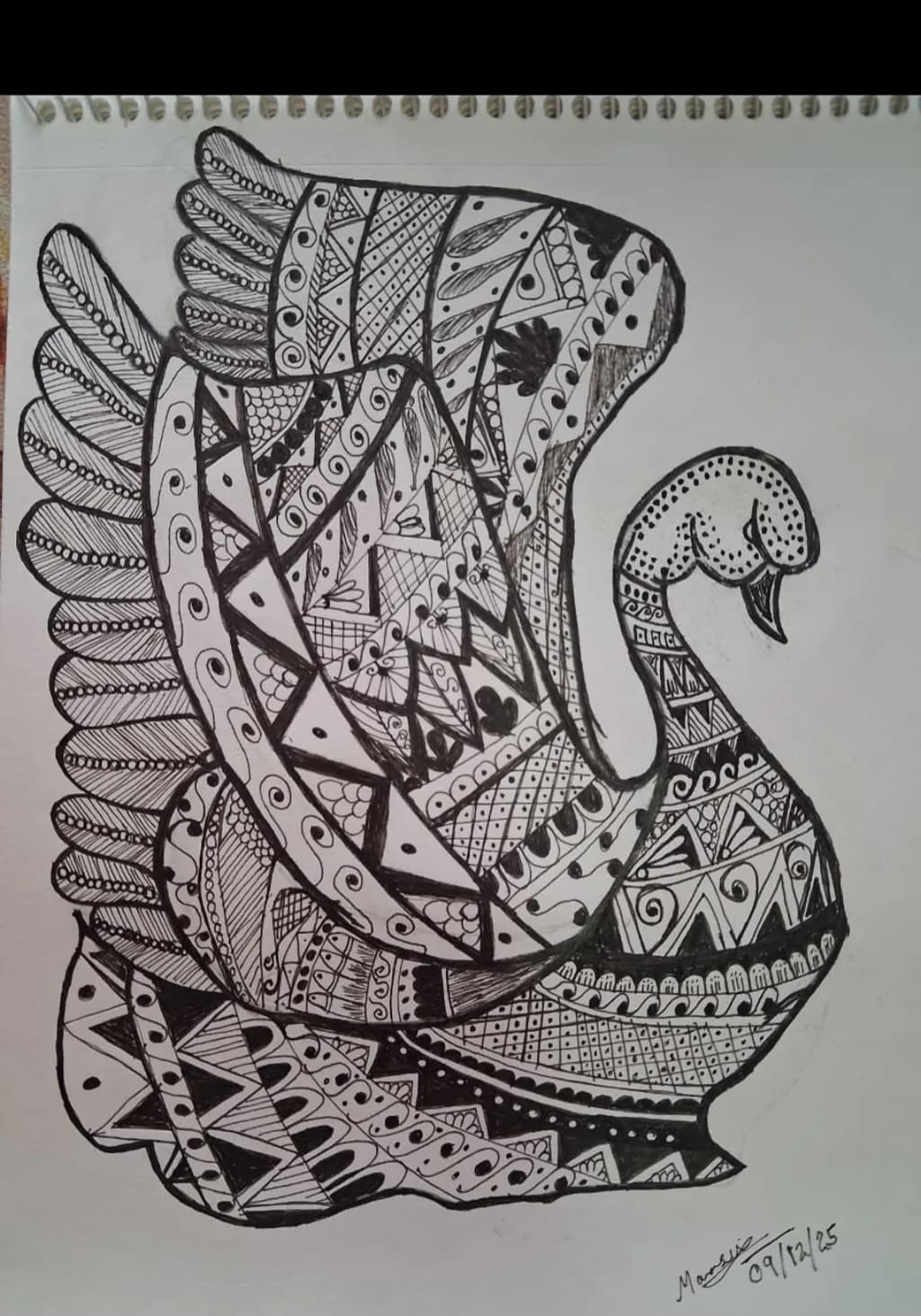 Elegant Swan Patterns