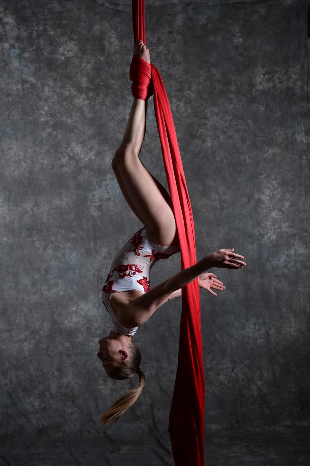 Aerial Elegance