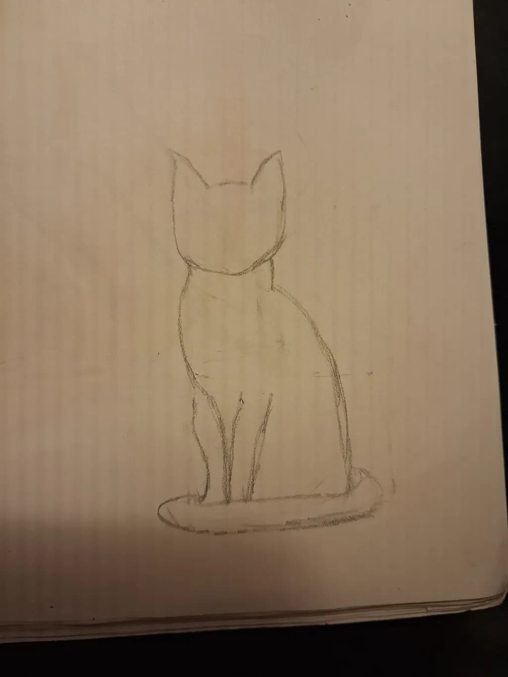 Curious Cat Sketch