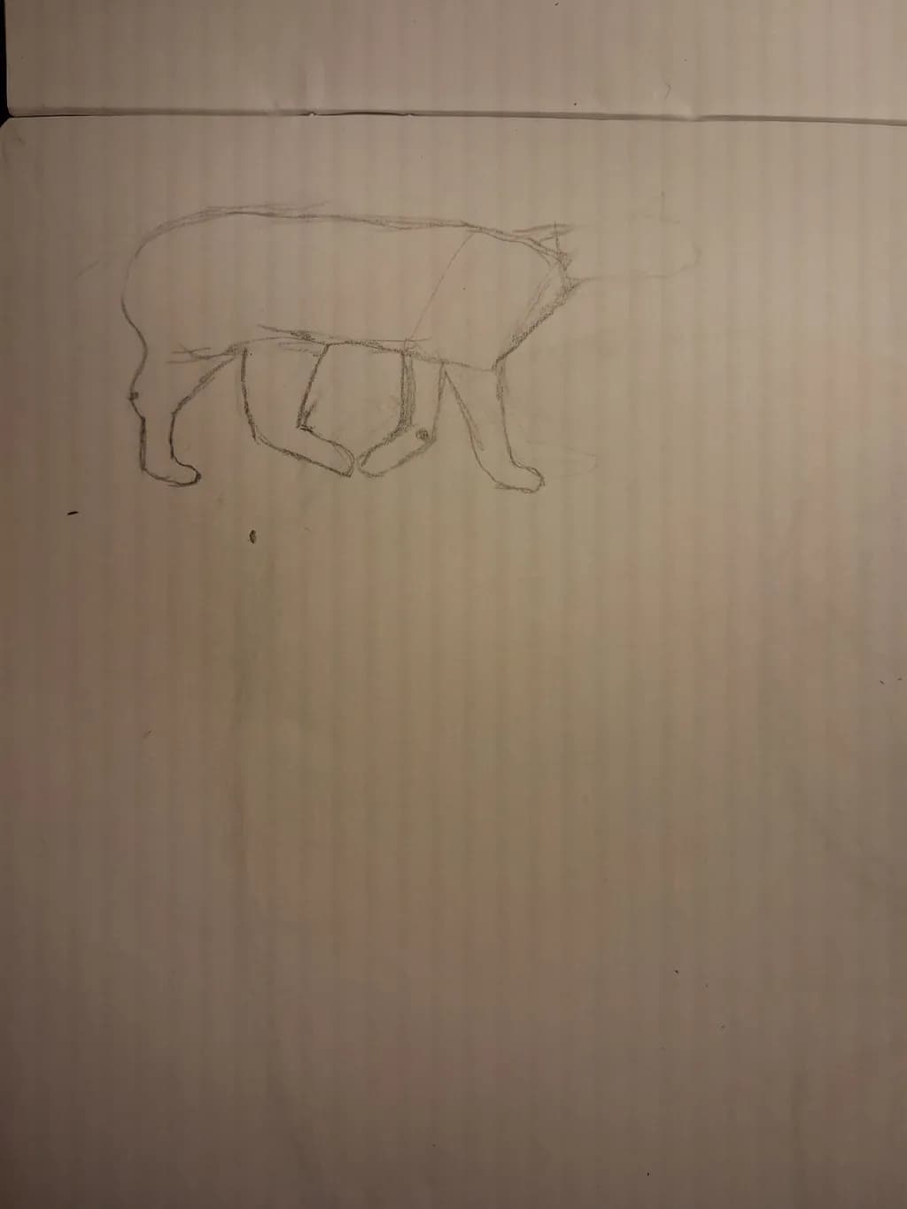 Walking Canine Sketch