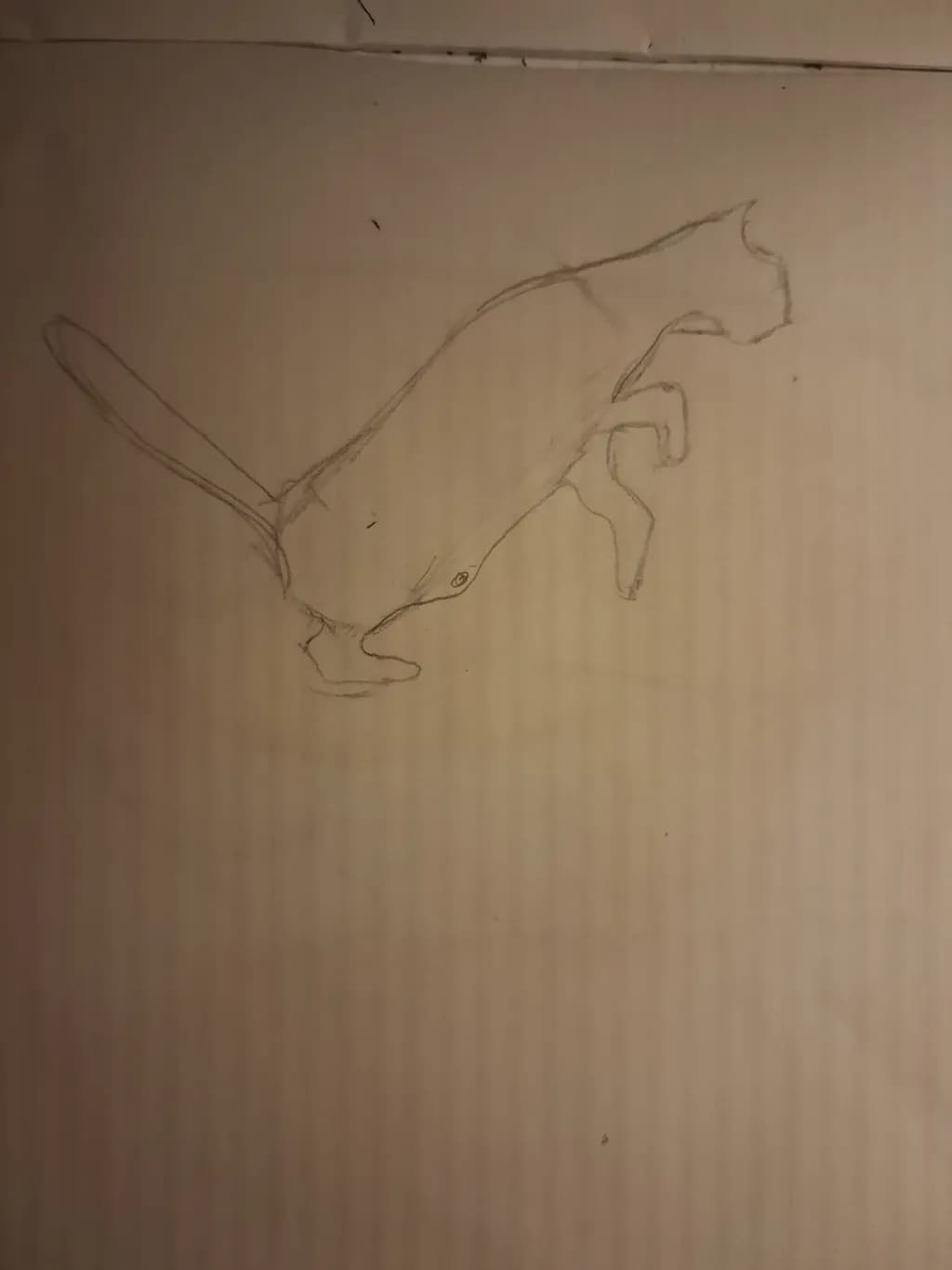 Leaping Cat Sketch