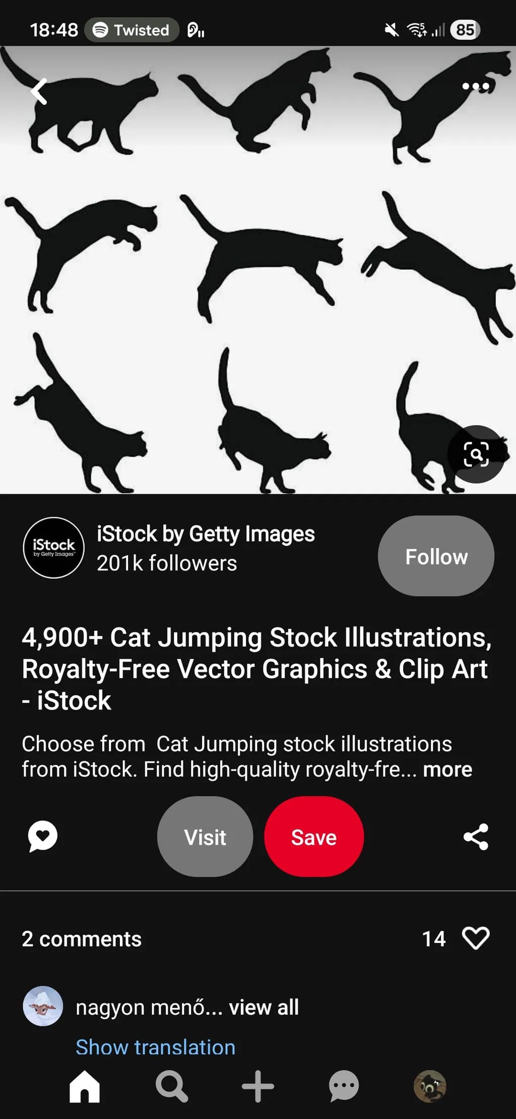 Cat Silhouettes