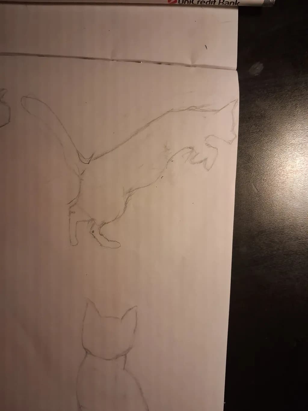 Leaping Cat Sketch