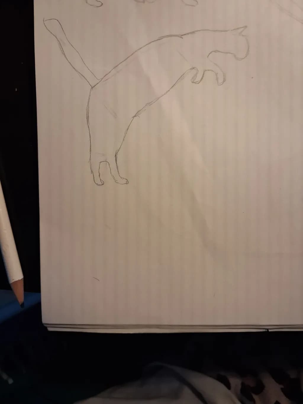 Leaping Cat Sketch