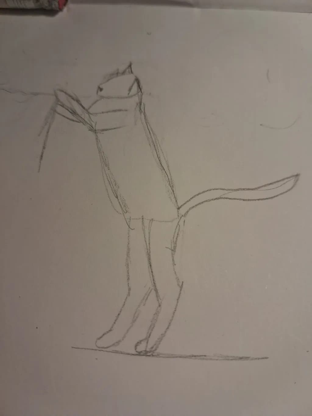 Playful Cat Sketch