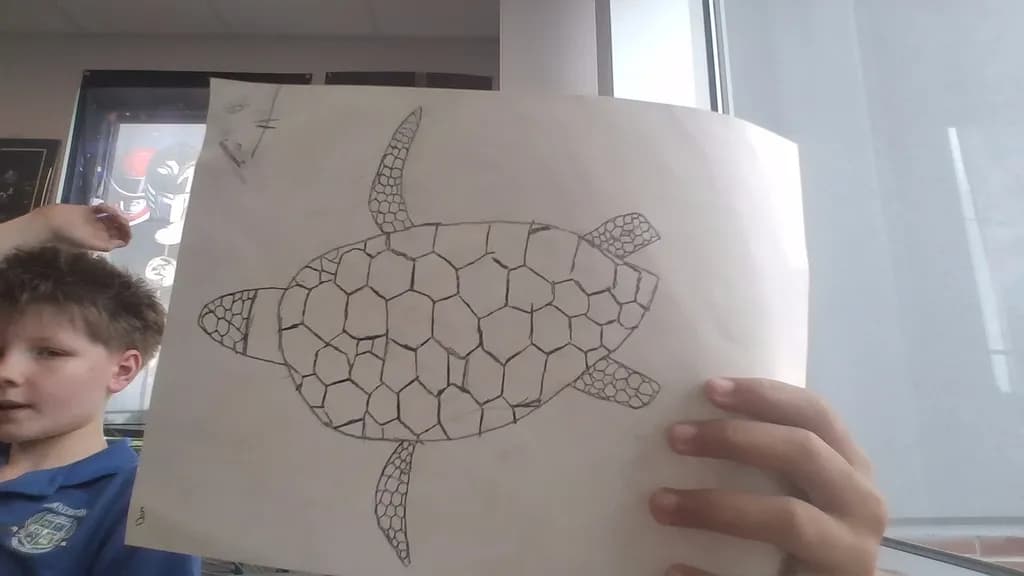 Turtle Sketch