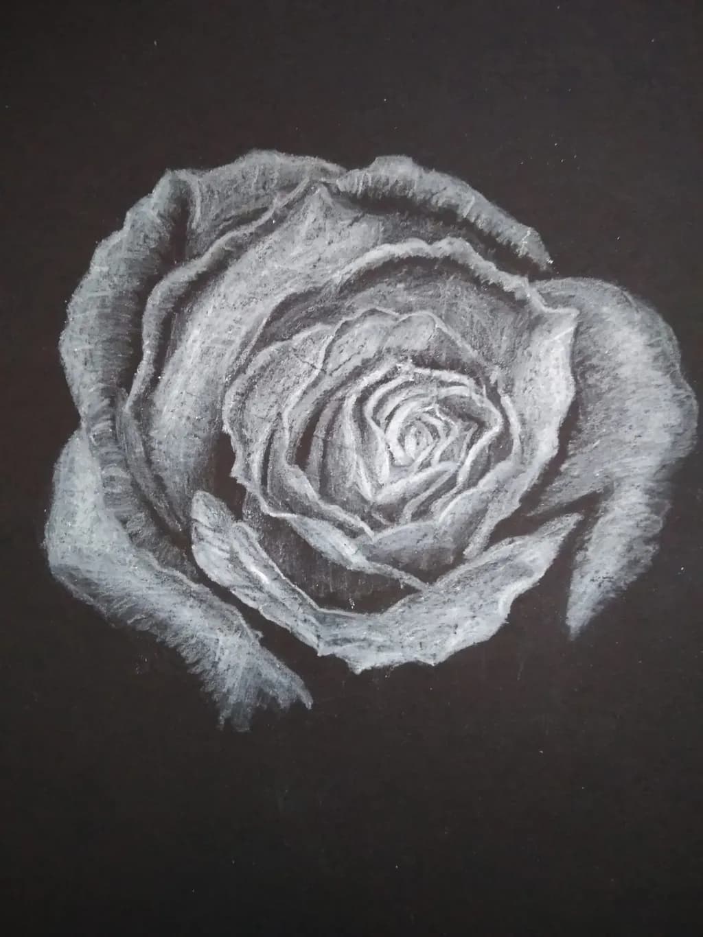 Monochrome Rose