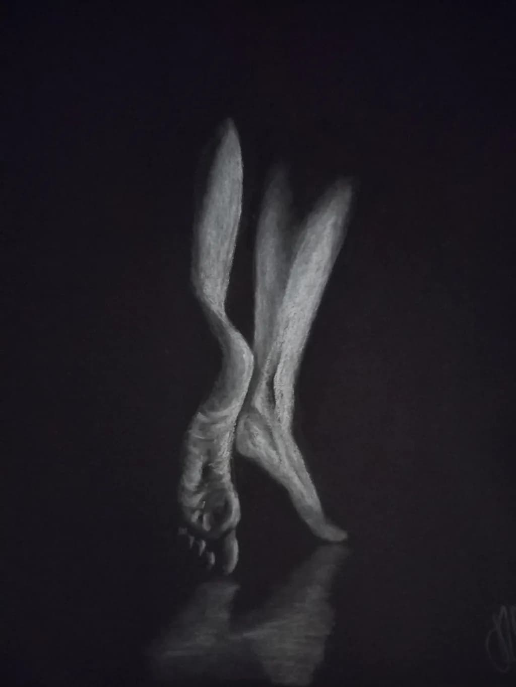 Graceful Shadows