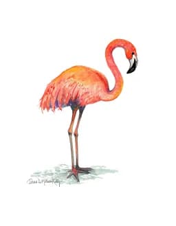 ACEO #68- Flamingo Delight