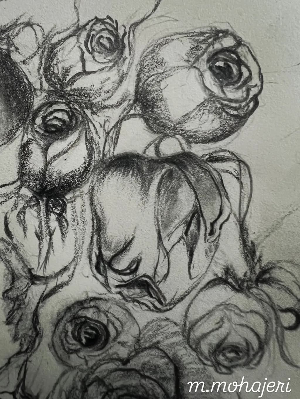 Monochrome Roses Sketch