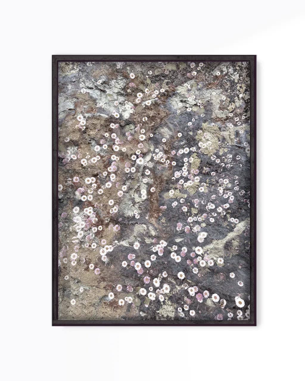 Floral Textures