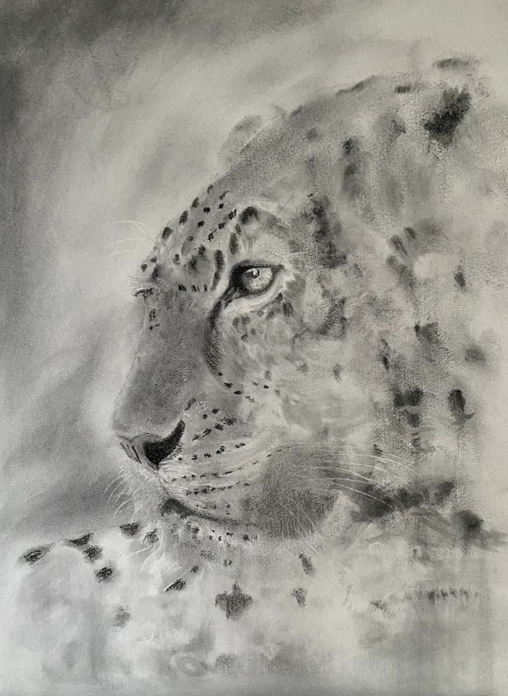 Silent Gaze