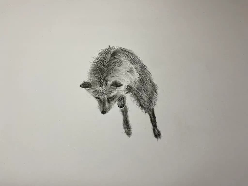 Leaping Fox
