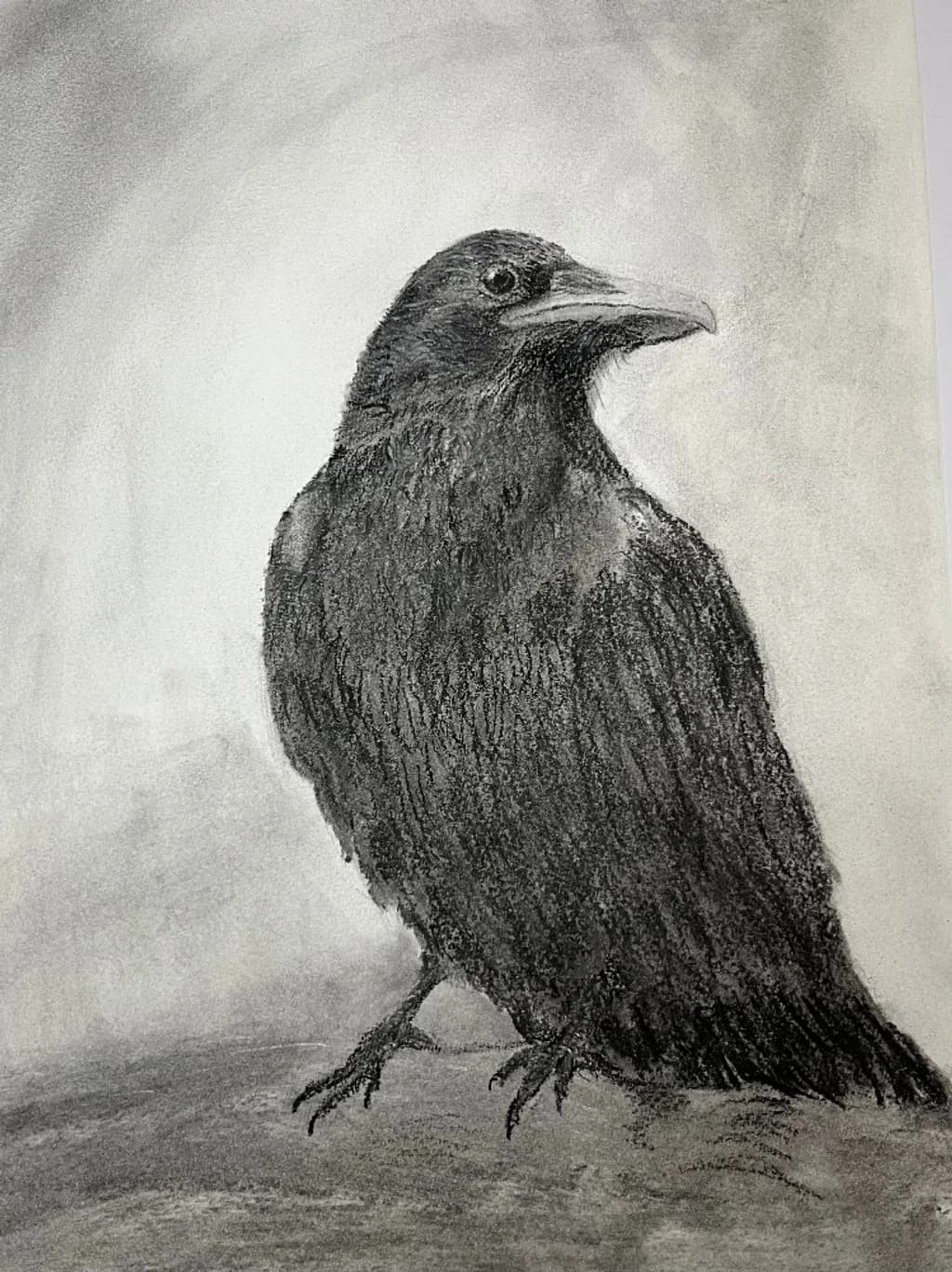 Crow Stillness