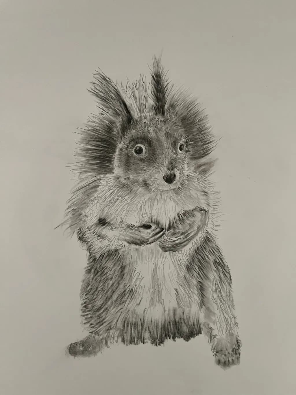 Pensive Squirrel