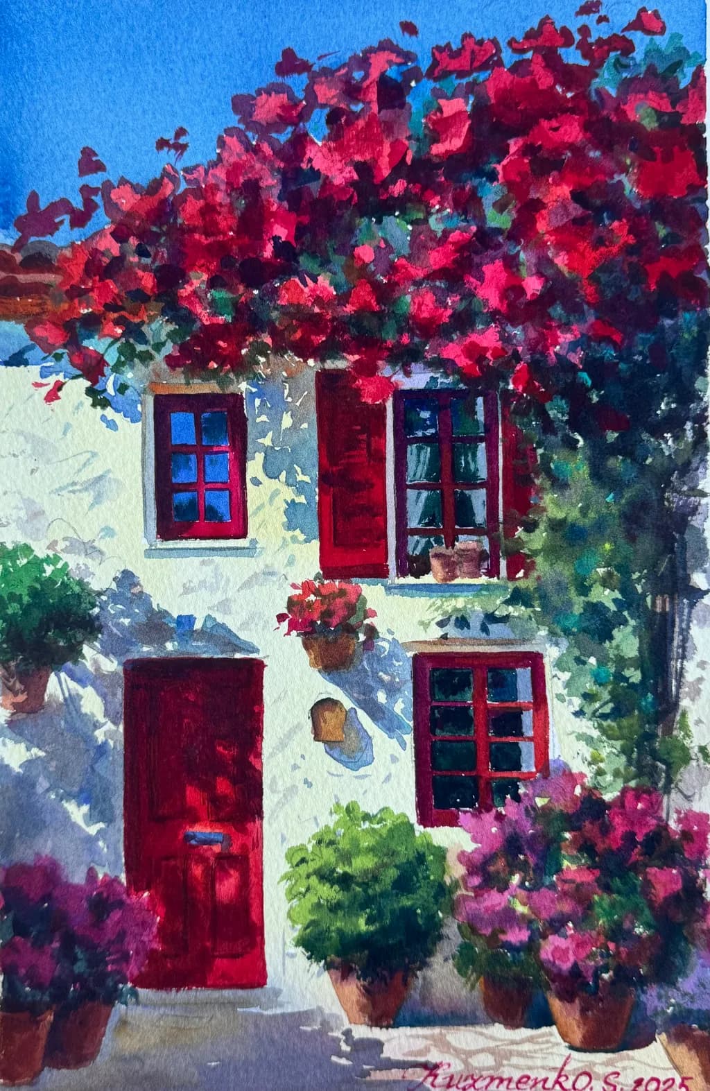 Bougainvillea Haven