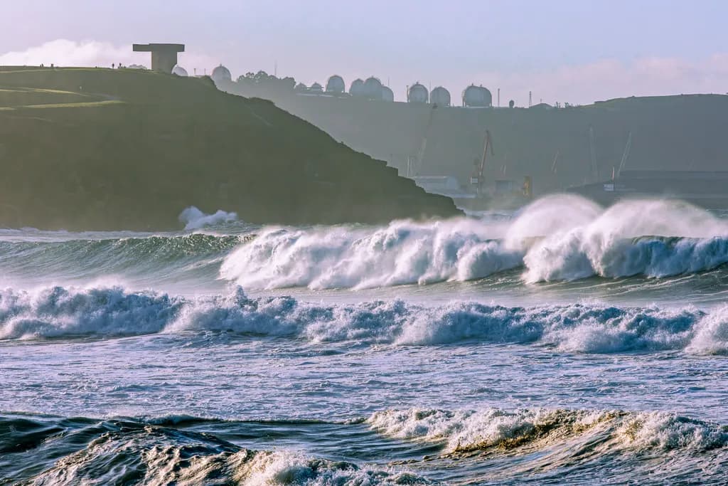 Harbor Waves