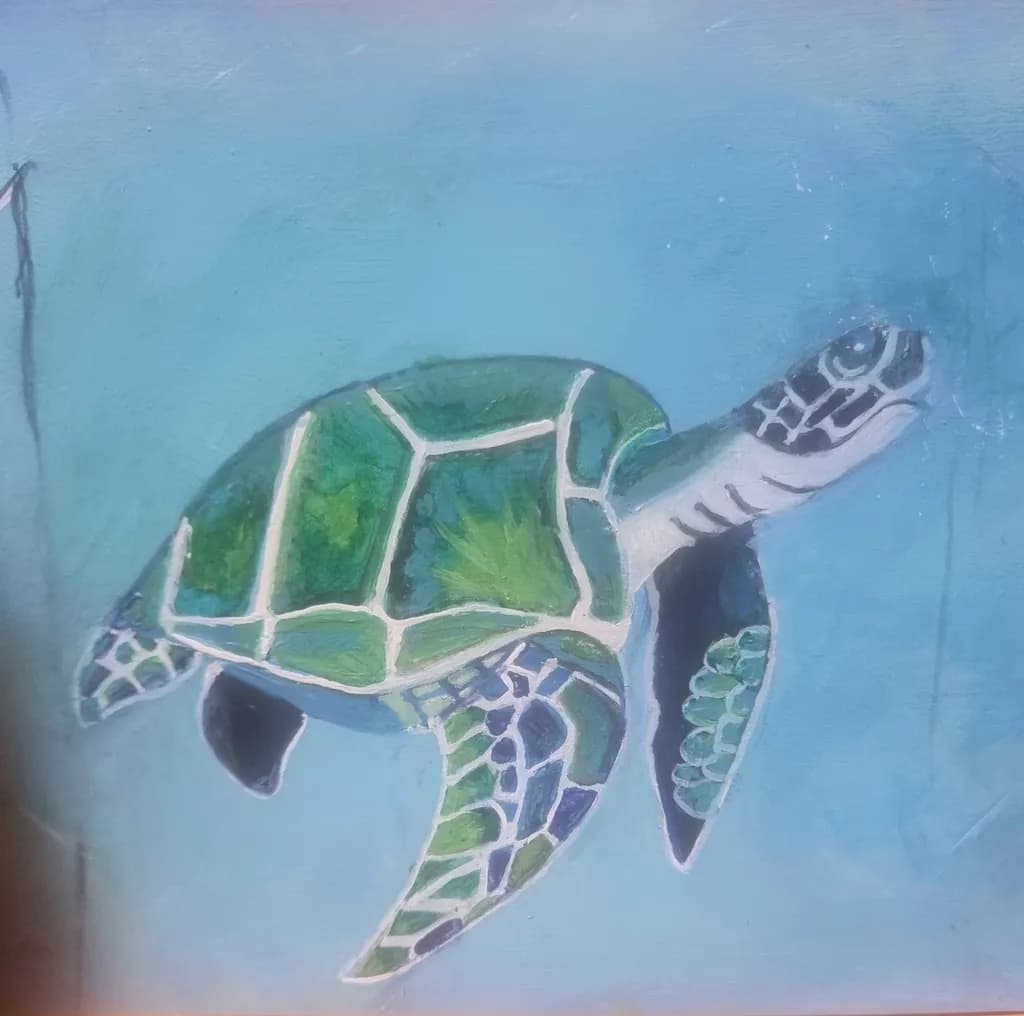 Turtle Dive
