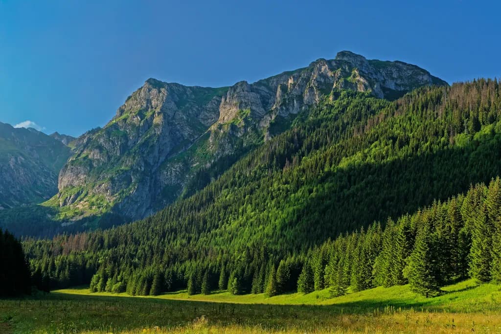 Majestic Mountain Serenity
