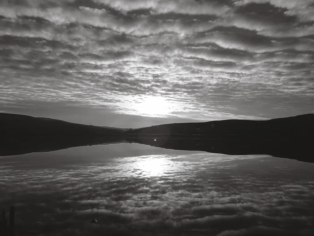 Reflections at Dusk