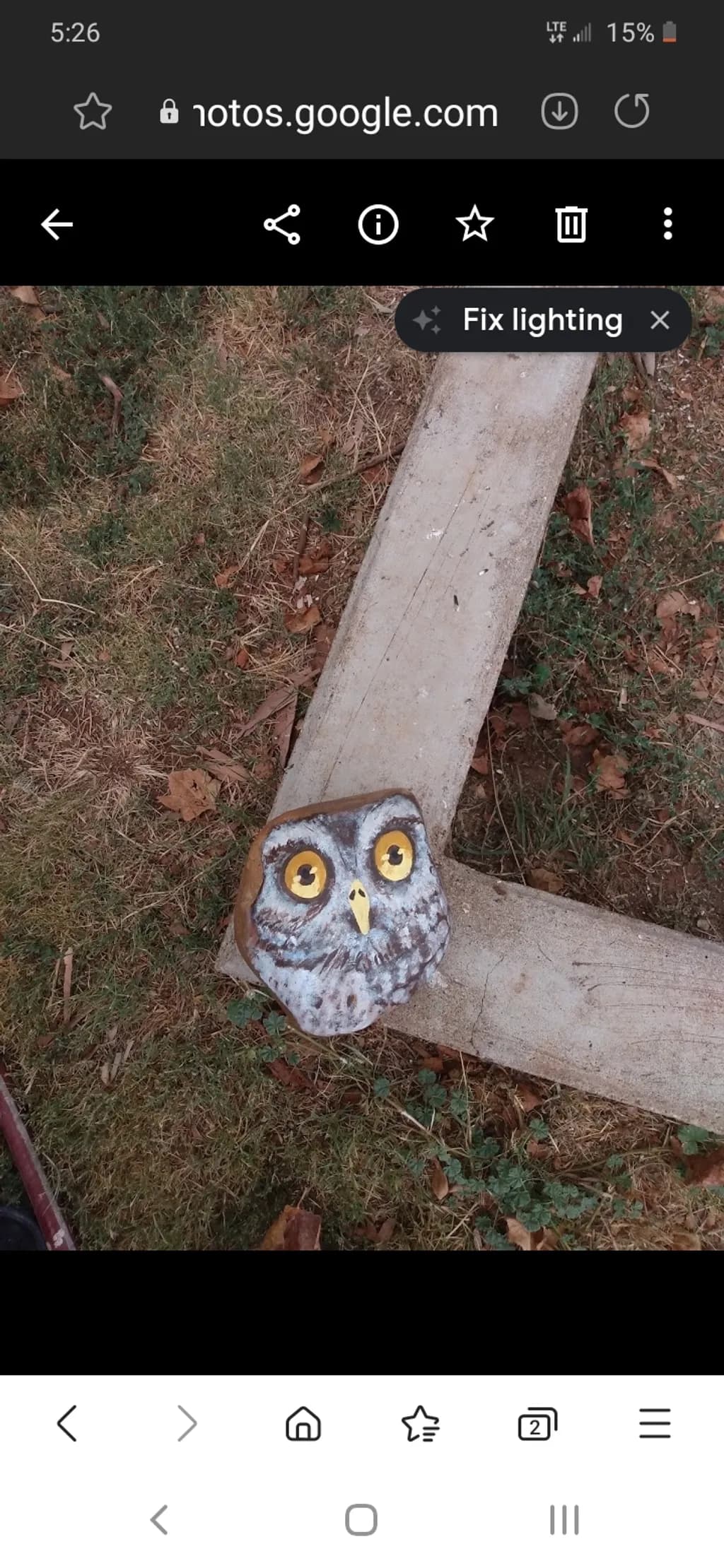 Owl Rock Decor