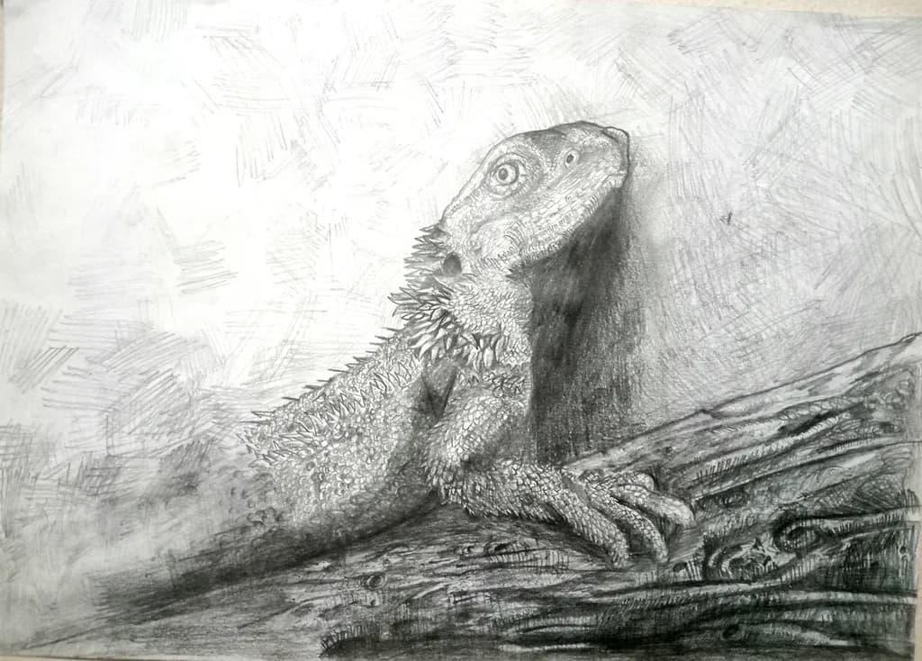 Resting Lizard