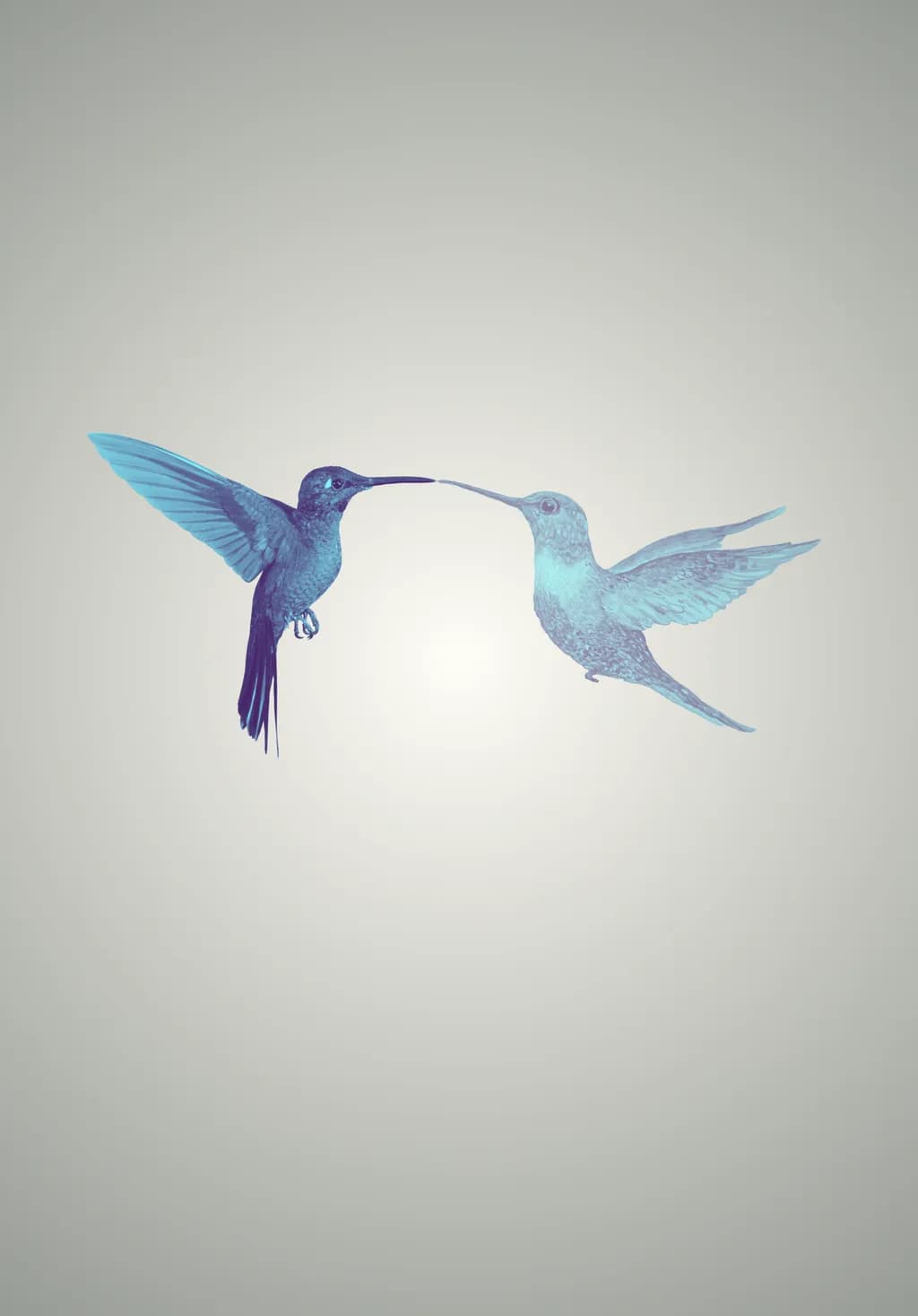 Hummingbird Connection