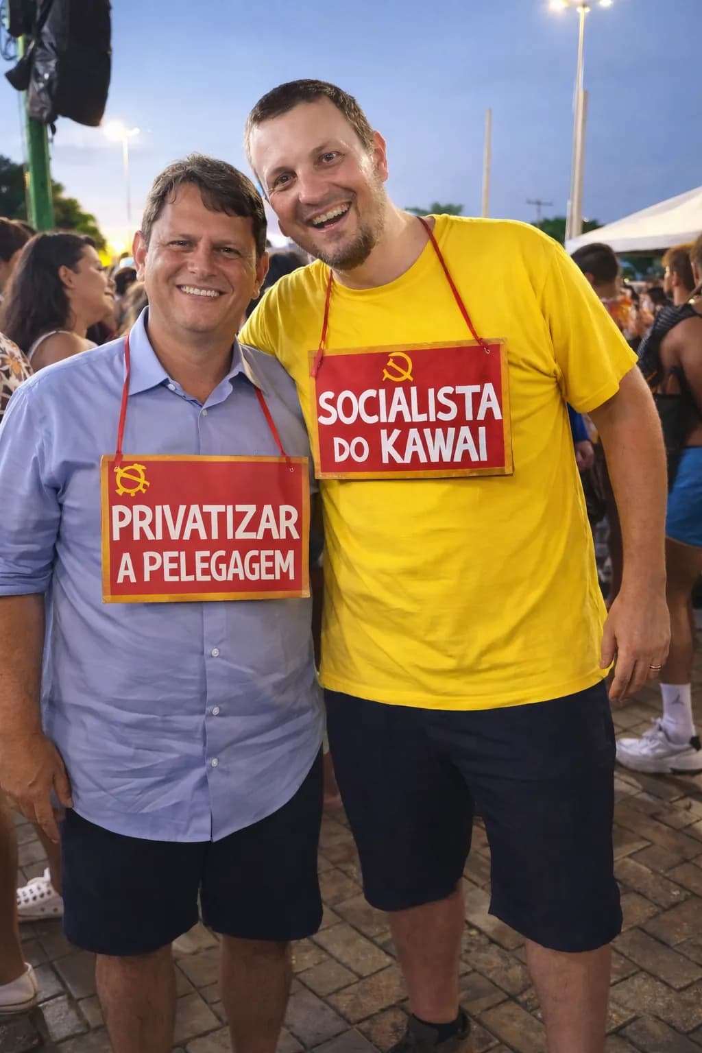 Privatizar e Socialista