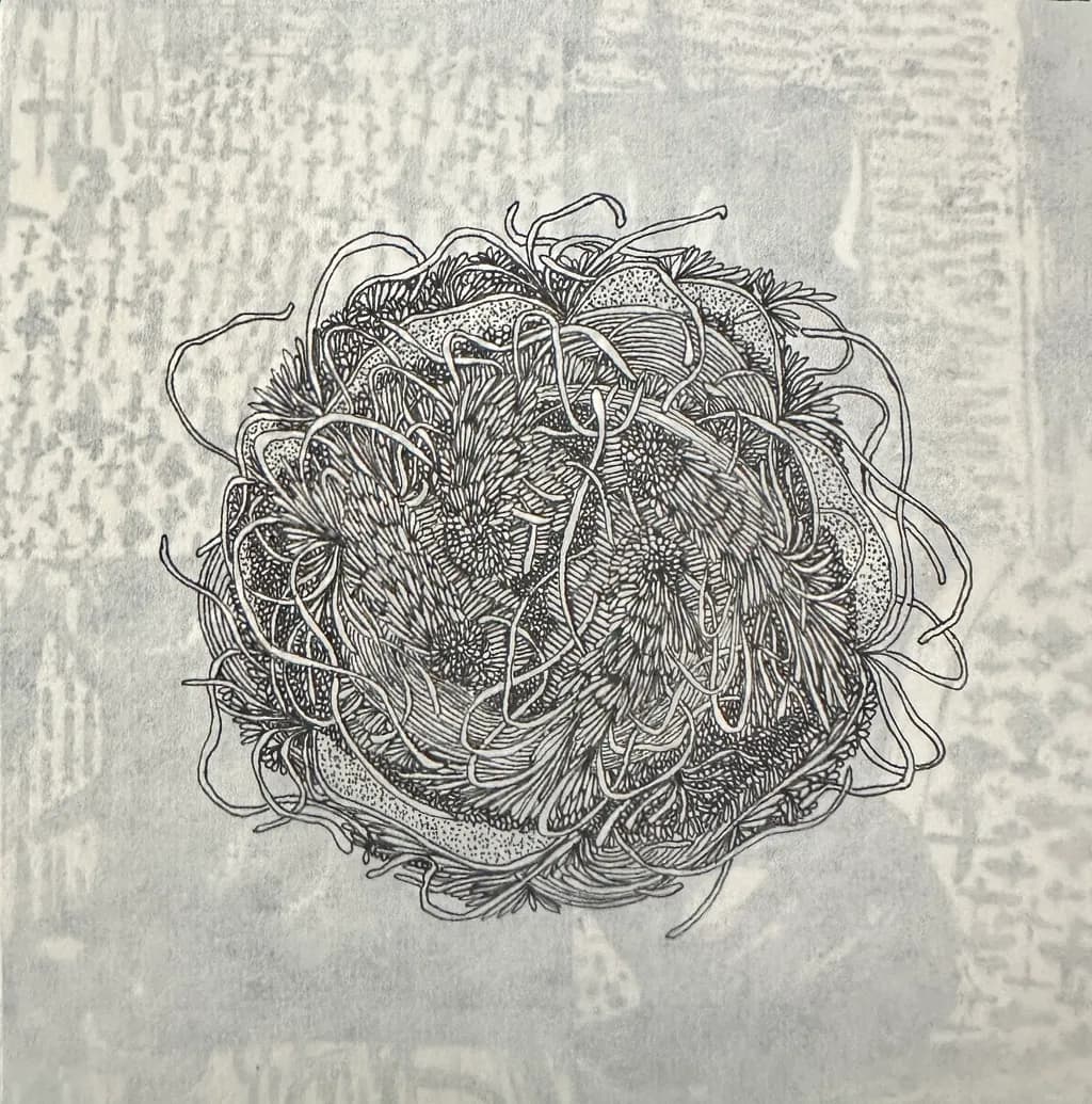 Tangled Nest