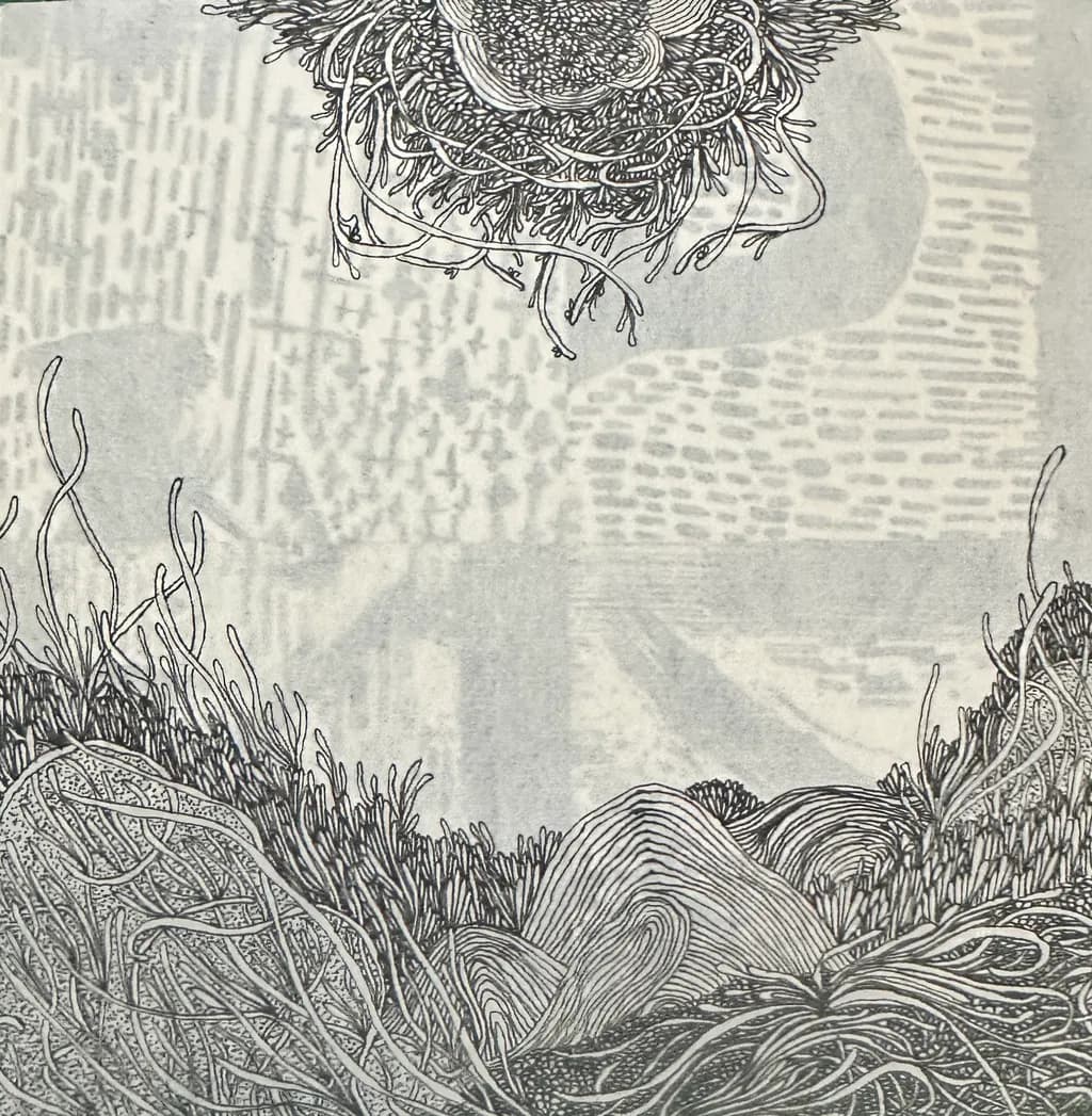 Organic Echoes