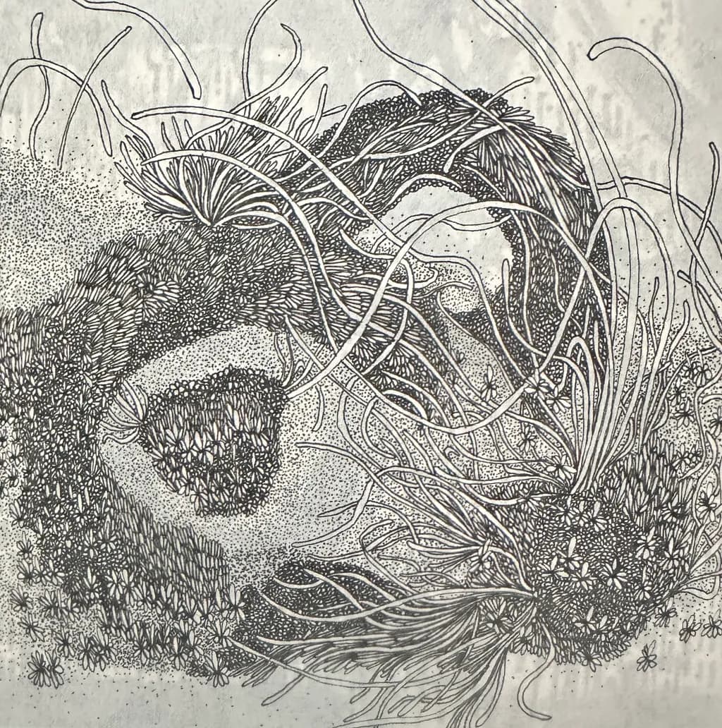 Organic Tangles