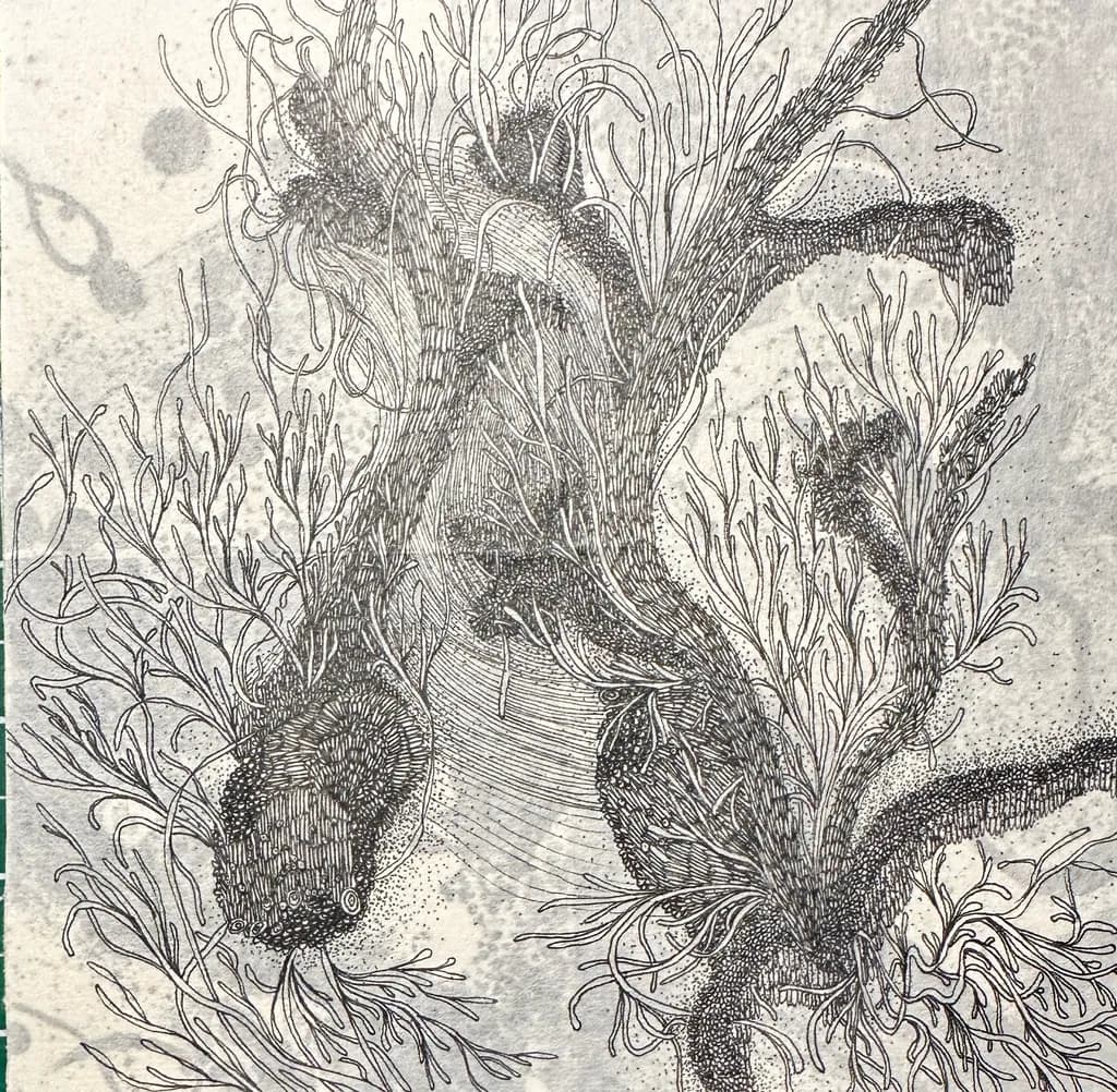 Underwater Abstraction