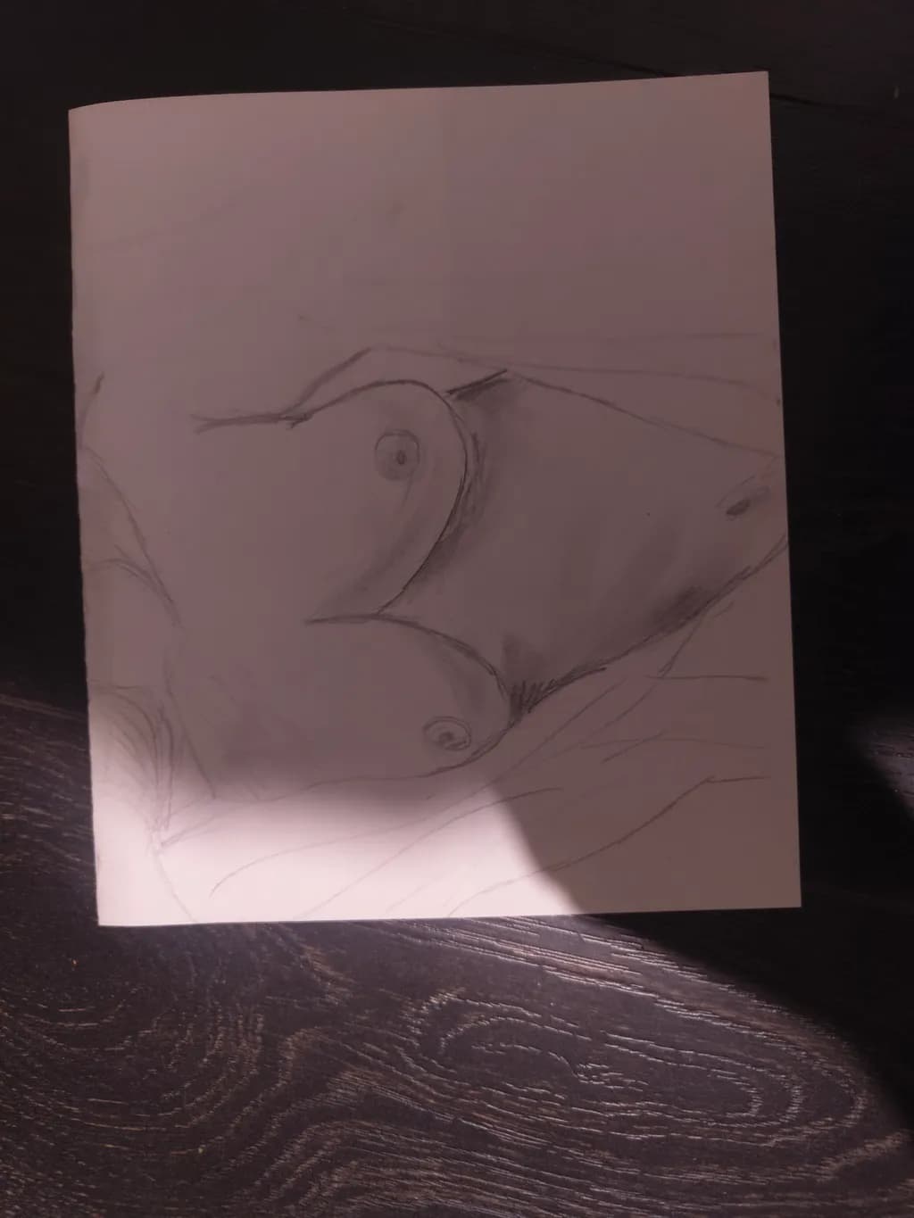 Abstract Figure Study