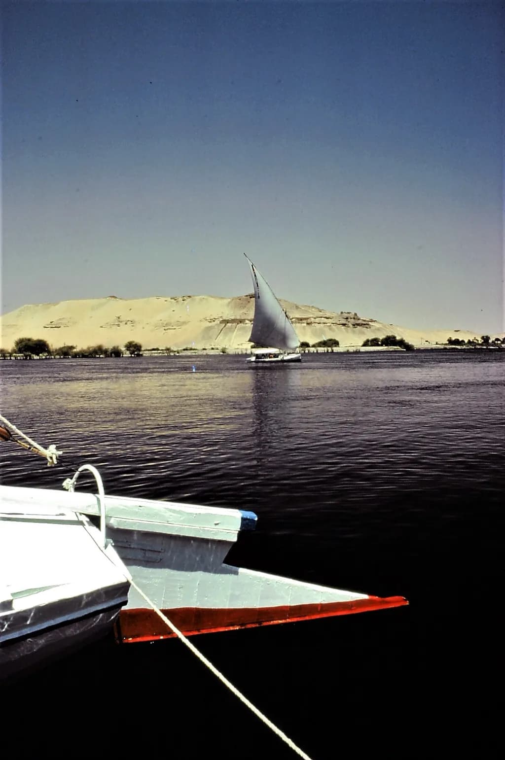 Sailboats by Desert Dunes